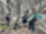 IMG_2078.jpeg