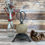 Thumbnail: Rustic Cast Iron Twine Holder with Scissors