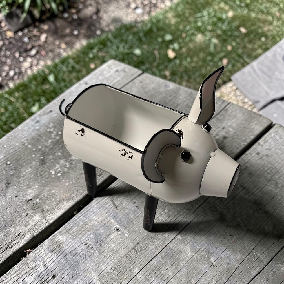 Thumbnail: White Metal Pig Planter & Organizer | Farmhouse Desk Decor | Pig Lover