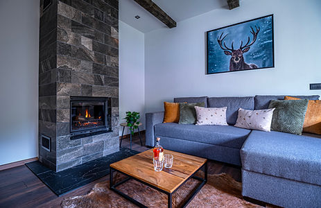 Дневна с камина в ARISEYA Mountain Lodge