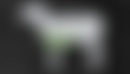 Don't be scared of the belly!