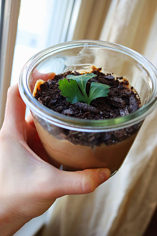 Spring Dirt Pudding (Vegan-Friendly, GF)
