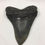 Thumbnail: 3.29" Fossil Megalodon Shark Tooth 