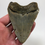 Thumbnail: 3.98” Fossil Megalodon Shark Tooth 