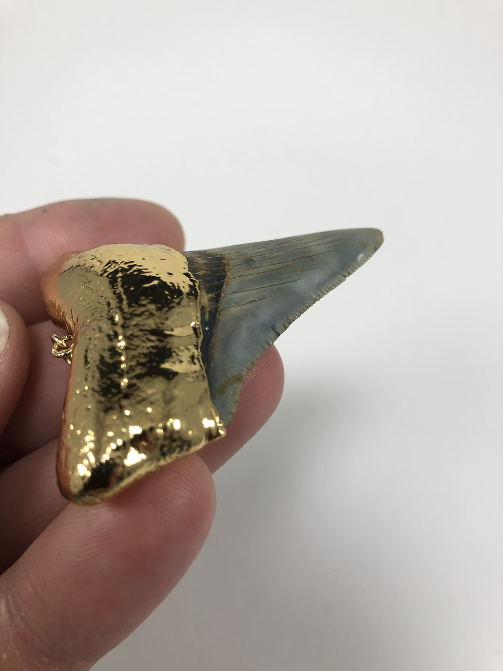 Thumbnail: 2.44" 18K Gold Plated Fossil Megalodon Shark Tooth