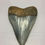 Thumbnail: 2.37" Fossil Great White Shark Tooth