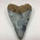 Thumbnail: 2.45" Fossil Great White Shark Tooth 