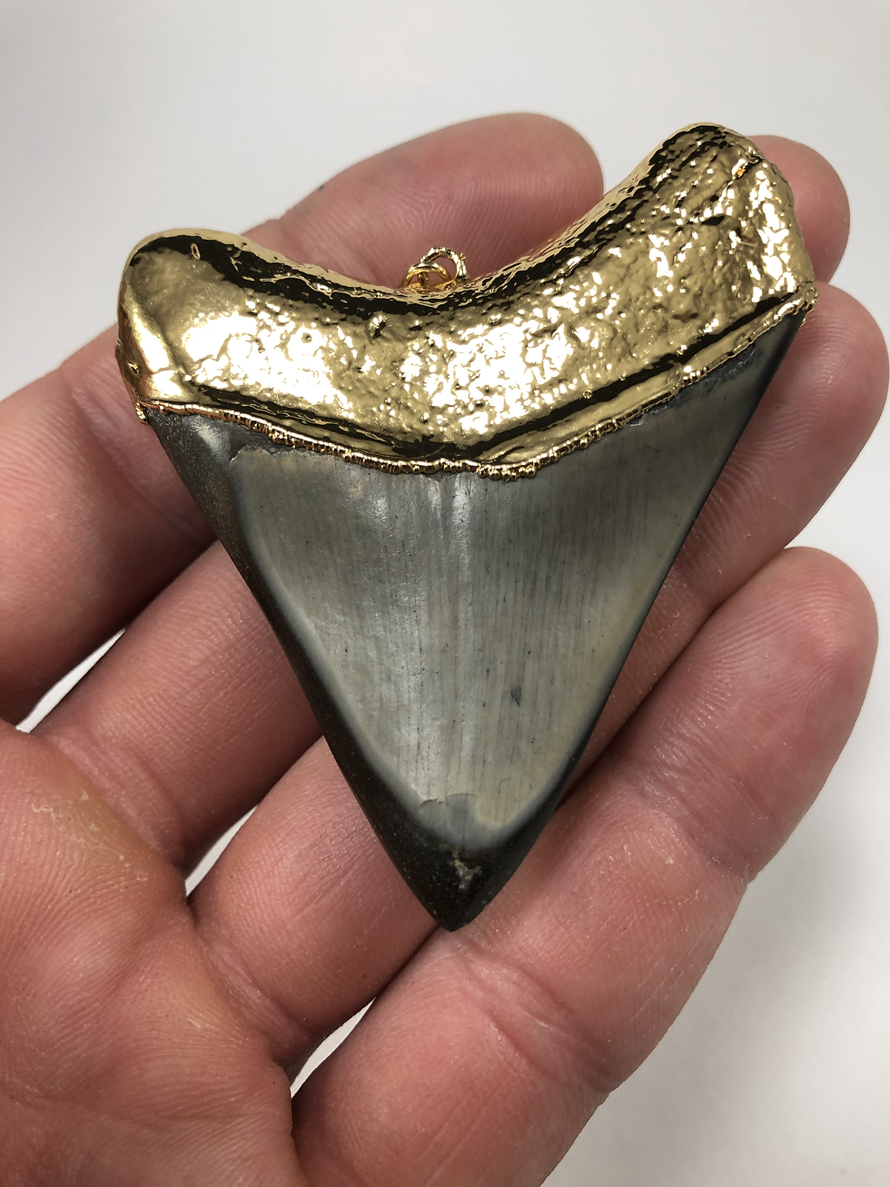 Thumbnail: 2.59" 18K Gold Plated Diamond Polished Fossil Megalodon Shark Tooth