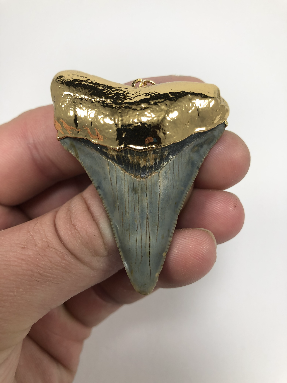 Thumbnail: 2.44" 18K Gold Plated Fossil Megalodon Shark Tooth