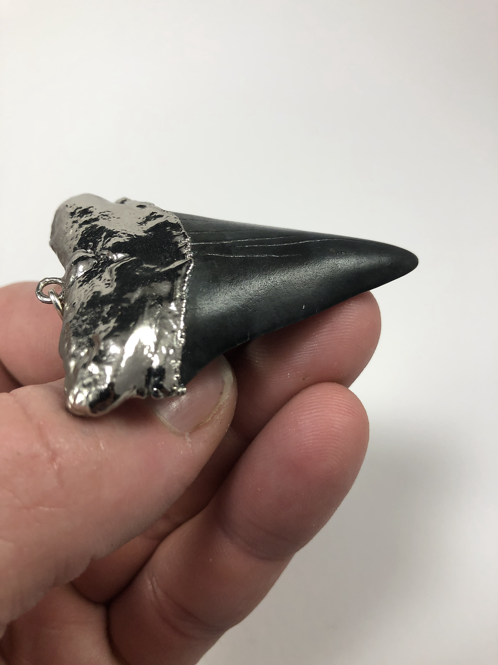 Thumbnail: 2.31" Silver Plated Fossil Mako Shark Tooth Necklace