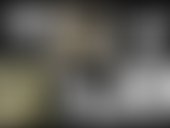 Left to right, top to bottom: Elizabeth Blackwell, Nettie Stevens, Lise Meitner, Florence Siebert, Cecilia Payne, Grace Hopper