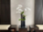 Biophilic design of plants, natural light, and wood paneling mixed with color contrast and welcoming seating create a pleasant environment for customers.