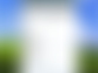 DPF EGR Remover 2017 V5 [2017]