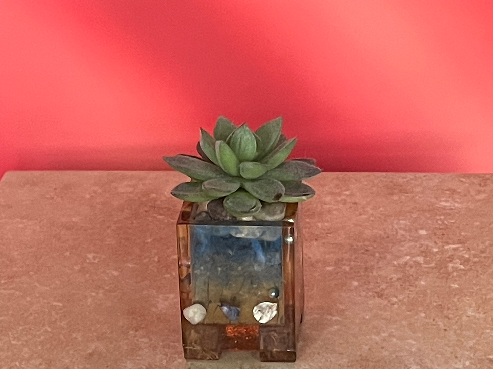 Thumbnail: Artificial Succulents in Hand-Made Pot