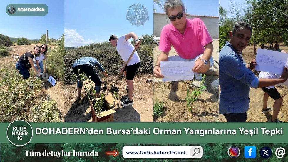 DOHADERN’den Bursa’daki Orman Yangınlarına Yeşil Tepki