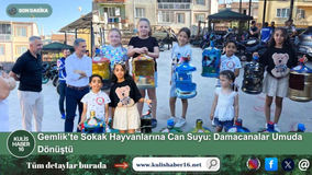 Gemlik’te Sokak Hayvanlarına Can Suyu: Damacanalar Umuda Dönüştü