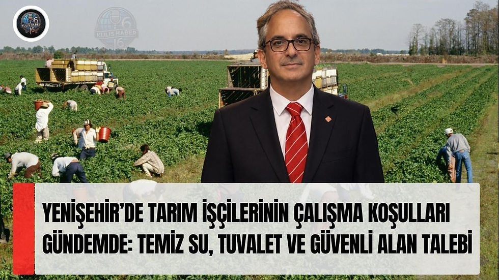 Yenişehir’de Tarım İşçilerinin Çalışma Koşulları Gündemde: Temiz Su, Tuvalet ve Güvenli Alan Talebi