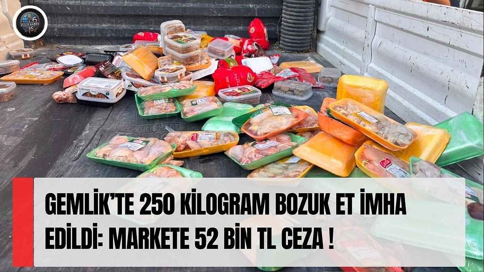 Gemlik’te 250 kilogram bozuk et imha edildi: Markete 52 bin TL ceza