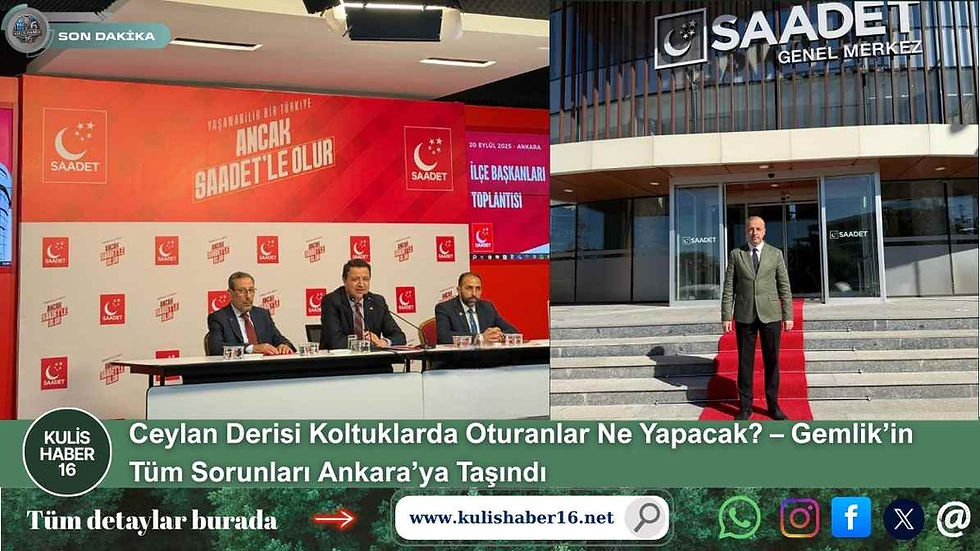 Ceylan Derisi Koltuklarda Oturanlar Ne Yapacak? – Gemlik’in Tüm Sorunları Ankara’ya Taşındı