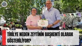 Tirilye neden zeytinin başkenti olarak gösteriliyor?
