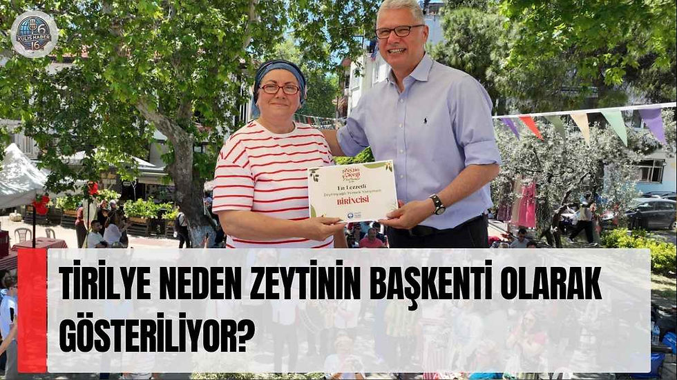 Tirilye neden zeytinin başkenti olarak gösteriliyor?