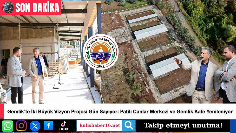 Gemlik’te İki Büyük Vizyon Projesi Gün Sayıyor: Patili Canlar Merkezi ve Gemlik Kafe Yenileniyor
