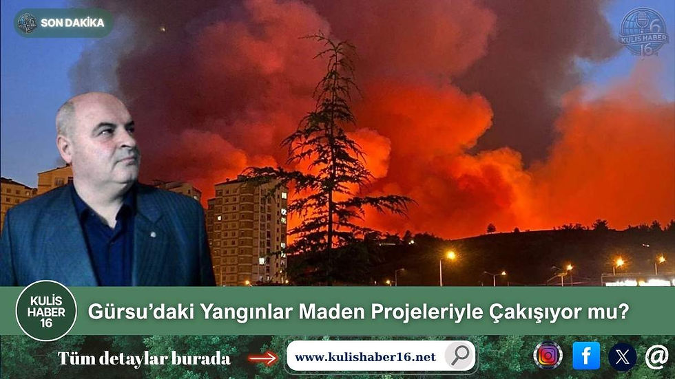 Gürsu’daki Yangınlar Maden Projeleriyle Çakışıyor mu?