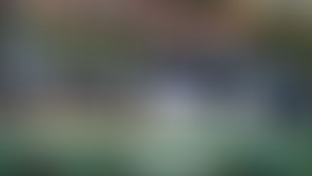 İznik Hisardere'de Geleneksel Hıdırellez Coşkusu: Teke İhalesi ve Halaylarla Renkli Görüntüler