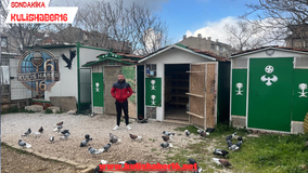 Bursa’nın Demirtaşpaşa Mahallesinde Güvercin Kümesleri İlgi Görüyor