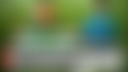 Bursaspor’un yeni yabancı transferleri takımı nasıl etkileyecek?