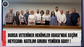 Bursa Veteriner Hekimler Odası’nda seçim heyecanı: Katılım Grubu yeniden aday