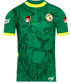 193919_-_senegal-removebg-preview.png