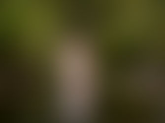 Beth | A Beautiful Maternity Session