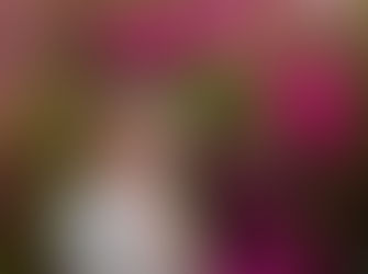 Kiana | School Formal Portraits