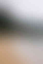 Kauai Elopement Photographer, Tunnels Beach