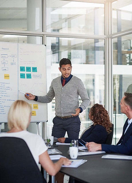 Industry expert consultants