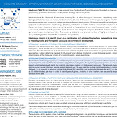 Executive Summary Intellomx BD Q2 2020_0