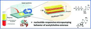 toc chem commun.gif