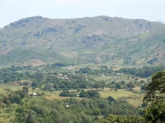 Reforestation programme is under way in Madagascar