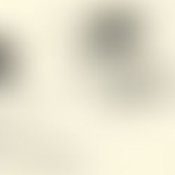 Got a Little Tail Today