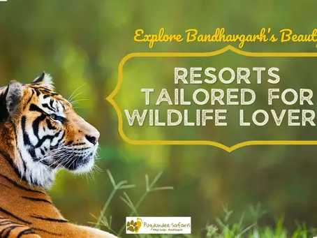 Explore Bandhavgarh’s Beauty: Resorts Tailored for Wildlife Lovers