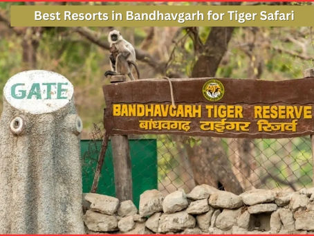 Best Resorts in Bandhavgarh for Tiger Safari