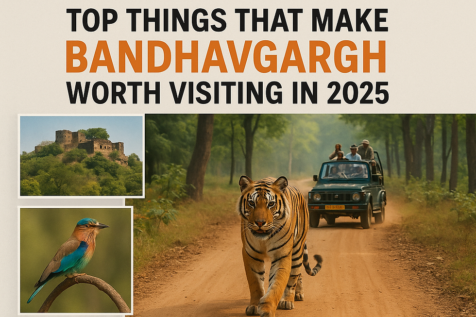visit in Bandhavgarh