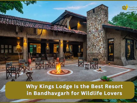 Why Kings Lodge Is the Best Resort in Bandhavgarh for Wildlife Lovers