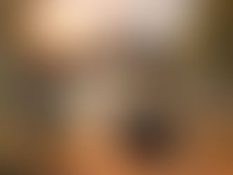 Why Staying Near Tala Gate Is Best for Bandhavgarh Safari