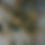 Thumbnail: AHT Annual Training Pass