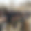 Thumbnail: Rifle & Pistol Dynamics