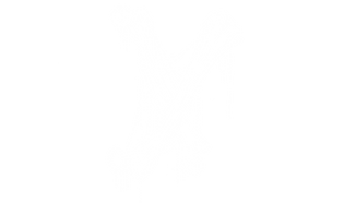 Zwei kreuzende Knochen grafisch dargestellt