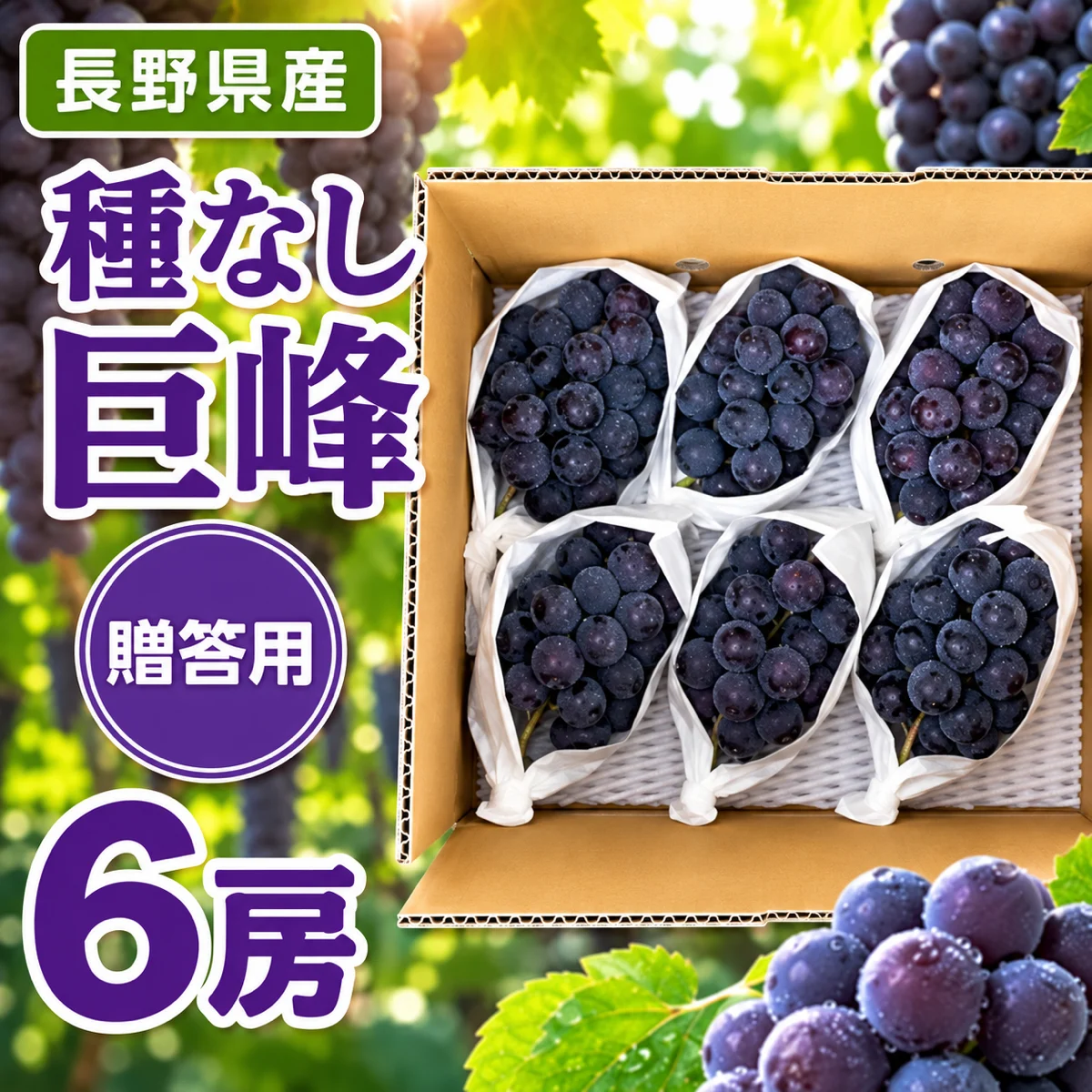 種なし巨峰 贈答用 6房