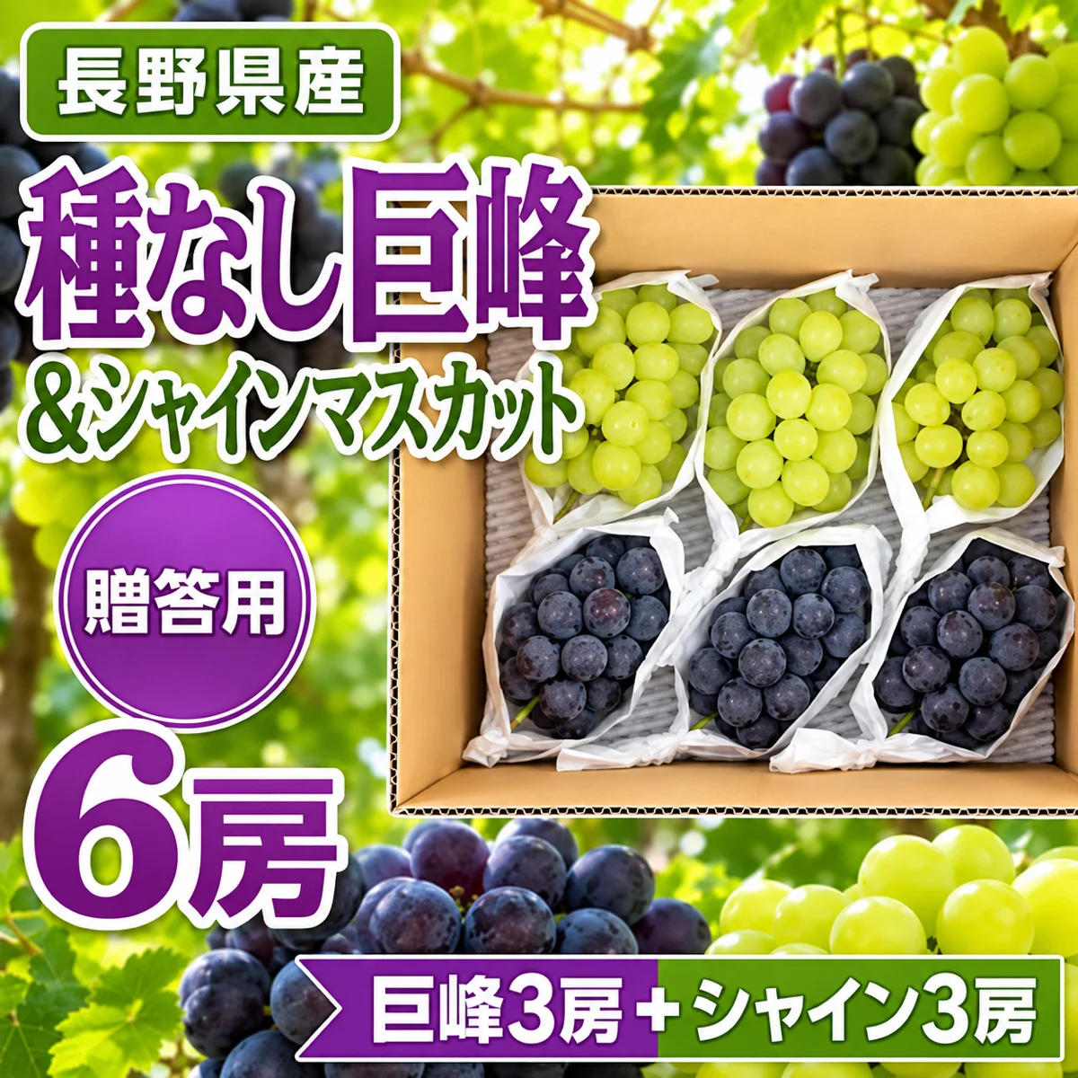 種なし巨峰3房&シャインマスカット3房 贈答用6房入セット